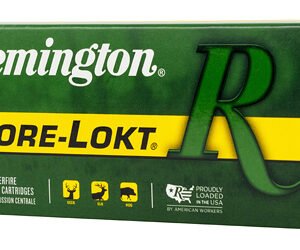 REM 3030WIN 150GR SP CL 20/200