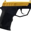 Taurus 22 TUC Handgun .22 LR 9rd Magazine 2.5" Barrel Black/Gold PVD