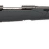 sv110hunter SAVAGE ARMS 110 HUNTER 243WIN BL/SYN 22"