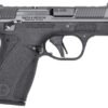 Firearm, Gun, Handgun, Weapon S&W BG2.0PC CC 380 12R TS NS