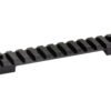 DNZ SAV AXIS PIC RAIL 20MOA 8-40