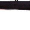 SAVAGE B17F 17HMR 21" SPORTER - BBL ACCU-TRIGGER BLACK SYN