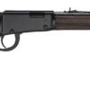 H001GG-22 HEN GARDEN LVR SHTGN 22LR 15R