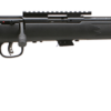 SAVAGE ARMS MARK II BOLT 22LR BL/SYN TB
