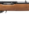 RUG 10/22 22LR 18B A250 WOOD