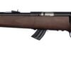 50701 SAV MARK II-GL 22LR BA 10RD LH