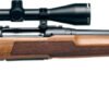 SAVAGE AXIS 2 XP 223 22" - W/3-9X40 MATTE/HARDWOOD