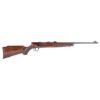 Savage Arms B22 G Rifle 22 LR 10/rd 21" Barrel Hardwood