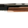 512287390 WRA SXP FLD CMP SHTGN 12M/24MC
