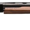 5124513920ba2.jpg WINCHESTER SXP HG FIELD 12/26 BL/WD 3"