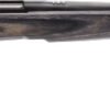 SAVAGE BMAG SPORTER 17WSM 22" - ACCU TRIG BLUED/GRAY LAMINATE