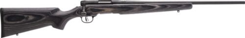 G96971 SAVAGE BMAG SPORTER 17WSM 22" - ACCU TRIG BLUED/GRAY LAMINATE