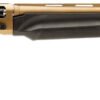 GFONE1228BB GFA GFORCE ONE SA 12M/28B BB