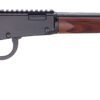 H001PGH-22M HEN SPORTER RIFLE LVR 22WMR