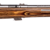 MARKIIBTVS.png SAVAGE ARMS MARK II BOLT 22LR SS/LAM THBHL