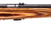 MARKIIBV SAVAGE ARMS MARK II BOLT 22LR BL/LAM HVBBL