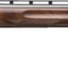 g018182326_1 BROWNING CITORI CXT WHITE 12GA - 3" 30"VR ADJ COMB BLUED/WALNT