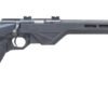 trakrnt LEGACY SPORTS INTERNATIONAL CITADEL TRAKR BLT 22LRR BK 18"