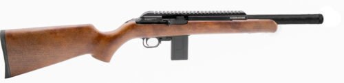 500.282 CHIAPPA FIREARMS BUSHRANGER 22LR WD/CF 10RD 16"