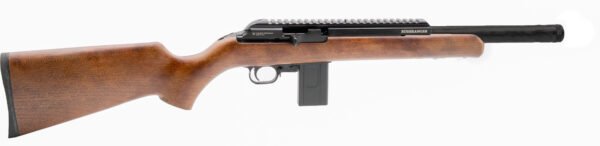 500.282 CHIAPPA FIREARMS BUSHRANGER 22LR WD/CF 10RD 16"