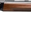 G0119015004.jpg BROWNING A5 LIGHTNING SWEET 16 - 2.75" 28"VR BLUED/WALNUT