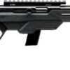 G45114.jpg SAVAGE 64 PRECISION 22LR 10RD - 16.5" HB SYNTHETIC CHASSIS BLK