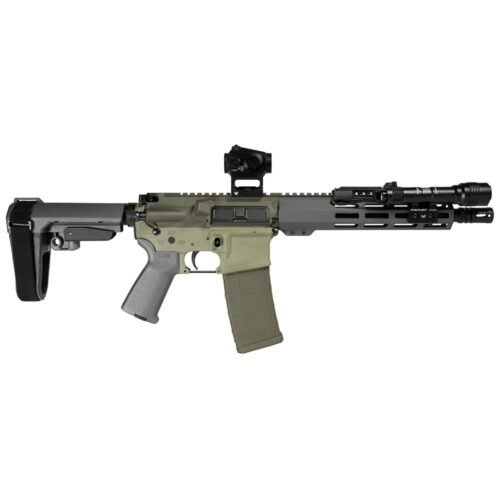 https3A2F2Fmedia.chattanoogashooting.com2Fimages2Fproduct2FZCSCC06209BUGBRP2FZCSCC06209BUGBRP2 Shark Coast Bugbear AR Pistol Bundle 5.56mm 30rd Magazine 10.5'' Threaded Barrel Vortex Crossfire Red Dot Streamlight ProTac SBA3 Brace