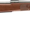 G535201299.jpg WINCHESTER MODEL 70 6.8WESTERN - 20" FEATHERWEIGHT COMPACT