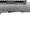 SAVAGE B17 17HMR TIMBERLITE - THUMBHOLE 18" CF 10RD GRY WOOD