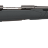 sv110Hunter-1.png SAVAGE ARMS 110 HUNTER 223REM BL/SYN 22" #