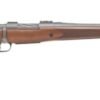 MOSSBERG PATRIOT 243 WIN 22" - CERAKOTE/STAINLESS WALNUT