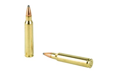 H80255_4.jpg HRNDY 223REM 55GR SP 50/500