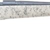 HCBN308SBTG.jpg LEG HOWA CRBN STLKR2 308 22B