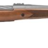 MOSSBERG PATRIOT 22-250 WD/SS 22" TB  #