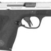 S&W BG2.0PC CC 380 2TNE NT DE