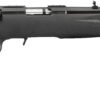 8306_comp.jpg.jpg RUG AM RFL RF-C 22LR 10R B TB