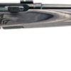 G47801.jpg SAVAGE A17 17WSM SPORTER 22" - ACCU TGR BLU/GRY LAM SPORTER