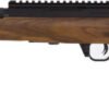 WAI HAM FRC B1 22LR HQ BRN 10R