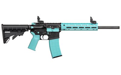 TPPA101203_2.jpg TIPPMANN M4-22 ACCENT 22LR 25RD REB