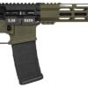 db1780k281.jpg DBF DB15 5.56 16ODG 30R TL