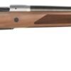 CHRISTENSEN ARMS RIDGELINE SAFARI 375HH BL/WD