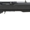 RUG 10/22 22LR 18 TB MPI