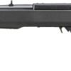 RUG 10/22 22LR 18 TB MPI