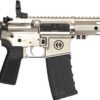GHP15P556SLV.jpg HIPOINT PISTOL HP-15 5.56 - 10.5" 30RD BLADE BRACE SILVER