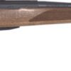 GJRTXA41520MT.jpg TIKKA T3X HUNTER 243 WIN 20" - THREADED WOOD/BLUED LEFT HAND
