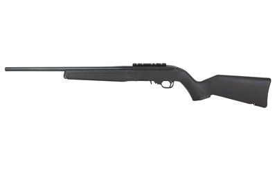 RUG 10/22 22LR 18 BLK RL 10RD