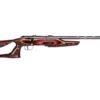 markiibolt0b50.jpg SAVAGE ARMS MARK II 22LR BOLT SS/EVO LAM #