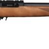 32018-rug.jpg RUG 10/22 LVT 22LR B WD TL
