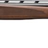 G018709604.jpg BROWNING CYNERGY CX 20GA 3" - 28"VR BLUED/WALNUT